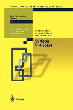 Surfaces in 4-Space (Encyclopaedia of Mathematical Sciences, 142, Band 142)