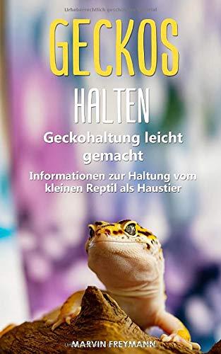 Geckos halten: Geckohaltung leicht gemacht - Grundlegende Informationen zur Haltung vom kleinen Reptil als Haustier