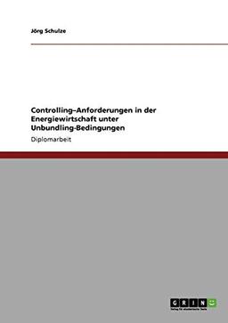 Controlling-Anforderungen in der Energiewirtschaft unter Unbundling-Bedingungen