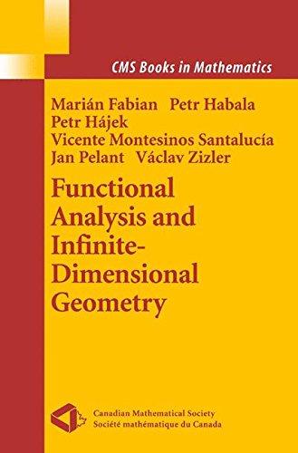 Functional Analysis and Infinite-Dimensional Geometry (CMS Books in Mathematics)