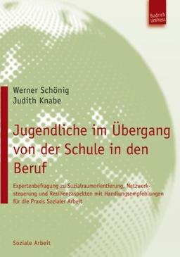 Jugendliche im Übergang von der Schule in den Beruf: Expertenbefragung zu Sozialraumorientierung, Netzwerksteuerung und Resilienzaspekten mit Handlungsempfehlungen für die Praxis Sozialer Arbeit