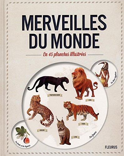 Merveilles du monde : en 45 planches illustrées