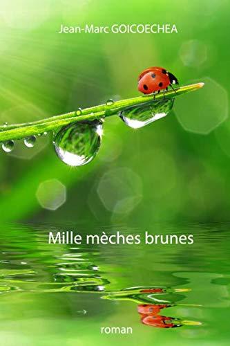 Mille mèches brunes