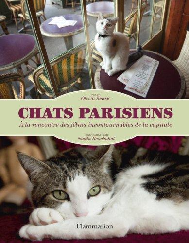 Chats parisiens : à la rencontre des félins incontournables de la capitale