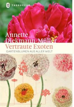 Vertraute Exoten: Gartenblumen aus aller Welt