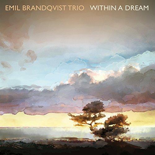 Within a Dream (Black/180 Gr.+Mp3) [Vinyl LP]