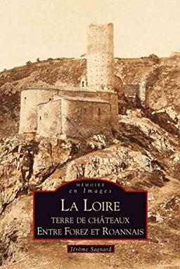 La Loire : terre de châteaux entre Jarez, Forez et Roannais