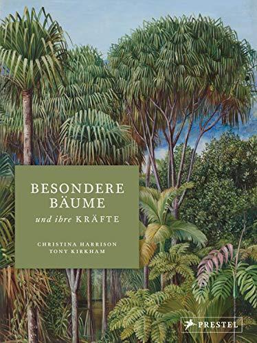 Besondere Bäume und ihre Kräfte: 60 Arten erzählen ihre Geschichte