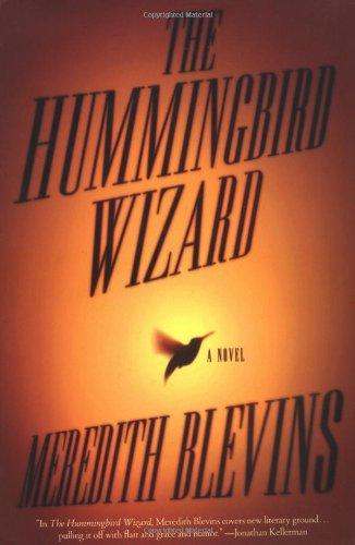 The Hummingbird Wizard