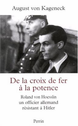 De la croix de fer à la potence : Roland von Hoesslin, officier allemand sous Hitler