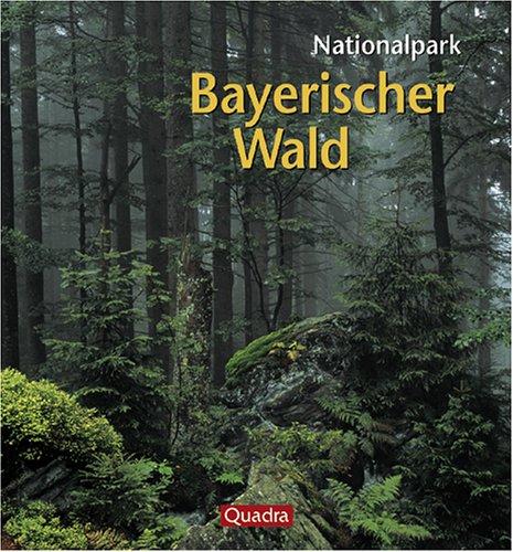 Nationalpark Bayerischer Wald. Urwald entsteht im ältesten Schutzgebiet