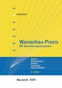 Wasserbau-Praxis 1: Gewässerkunde, Flußbau, Stauanlagen, Wasserkraftwerke