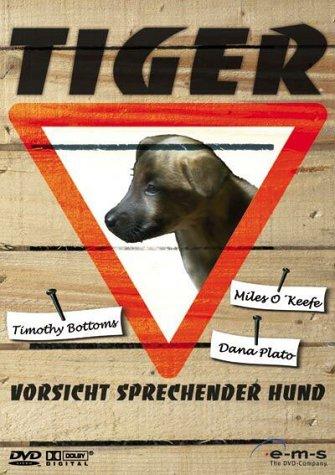 Tiger - Vorsicht sprechender Hund