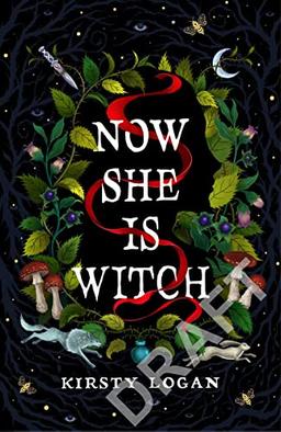 Now She is Witch: A witch story unlike any other from the author of The Gracekeepers