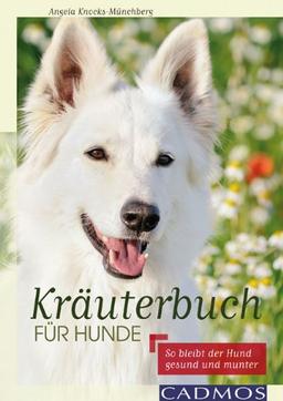 Kräuterbuch für Hunde: So bleibt der Hund gesund und munter