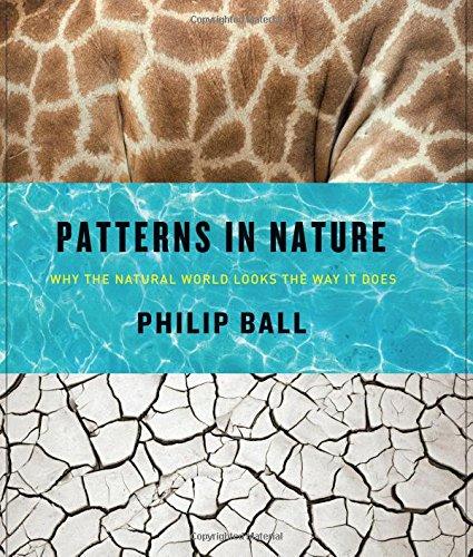 Patterns in Nature: Why the Natural World Looks the Way It Does