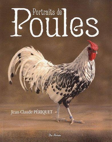 Portraits de poules