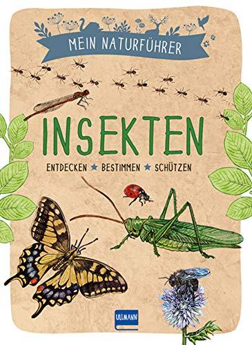 Mein Naturführer: Insekten