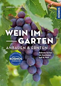 Wein im Garten anbauen & ernten: Robuste Sorten als Naschobst, Saft & Wein