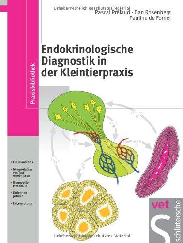 Endokrinologische Diagnostik in der Kleintierpraxis