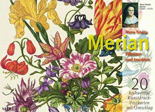 Merian Karten-Set 40 teilig