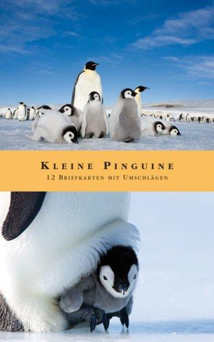 Briefkarten Kleine Pinguine