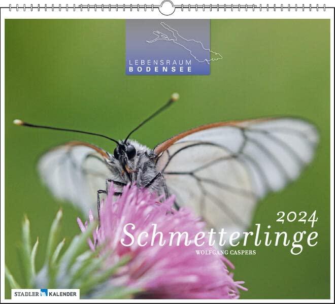 Lebensraum Bodensee - Schmetterlinge 2024