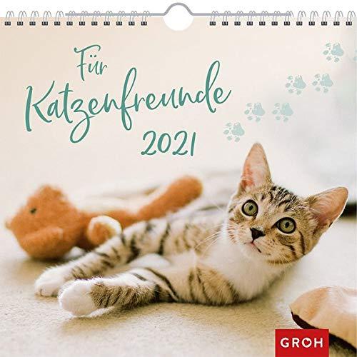 Für Katzenfreunde 2021: Dekorativer Wandkalender mit Monatskalendarium