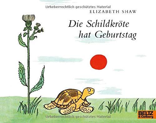 Die Schildkröte hat Geburtstag: Vierfarbiges Bilderbuch