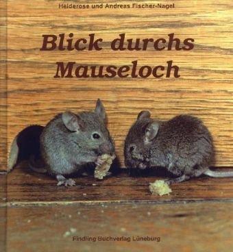 Blick durchs Mauseloch