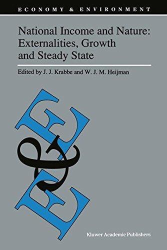 National Income and Nature: Externalities, Growth and Steady State (Economy & Environment, Band 5)