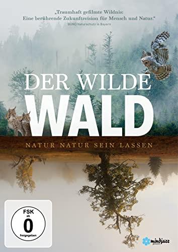 Der wilde Wald - Natur Natur sein lassen