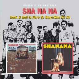 Rock & Roll Is Here to Stay!/Sha Na Na