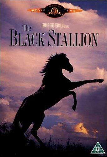 Black Stallion The [UK Import]