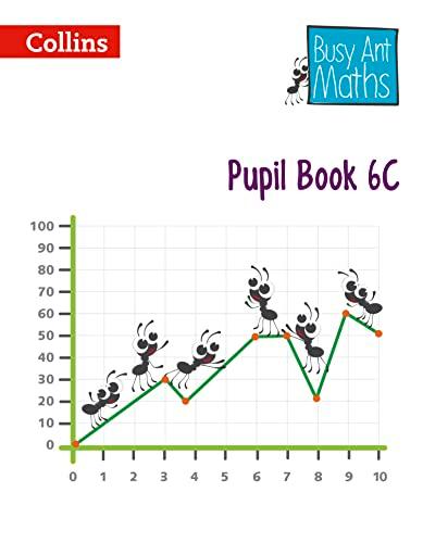 Pupil Book 6C (Busy Ant Maths)