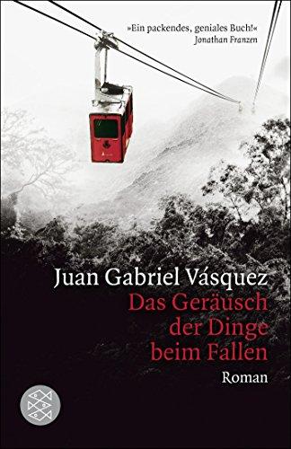 Das Geräusch der Dinge beim Fallen: Roman