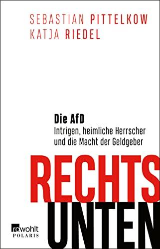 Rechts unten: Die AfD: Intrigen, heimliche Herrscher und die Macht der Geldgeber