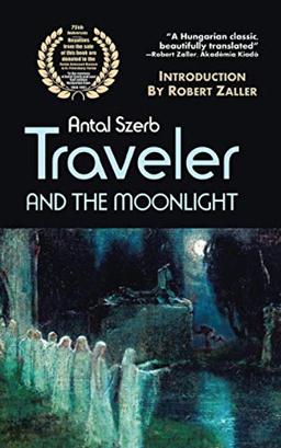 Traveler and the Moonlight