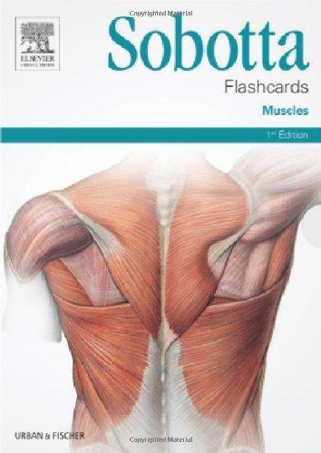 Sobotta Flashcards Muscles