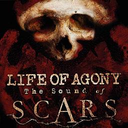 The Sound of Scars