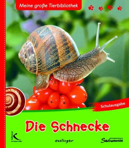 Die Schnecke: Meine große Tierbibliothek