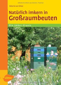 Natürlich imkern in Großraumbeuten