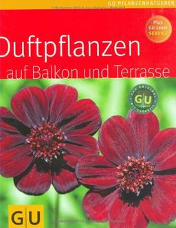 Duftpflanzen für Balkon und Terrasse (GU Pflanzenratgeber)