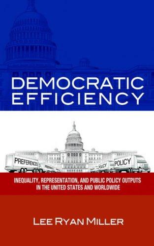 Democratic Efficiency: Inequality, Representation, and Public Policy Outputs in the United States and Worldwide