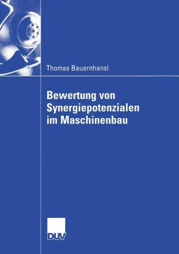 Bewertung von Synergiepotenzialen im Maschinenbau (Wirtschaftswissenschaften) (German Edition)