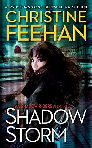 Shadow Storm (A Shadow Riders Novel, Band 6)