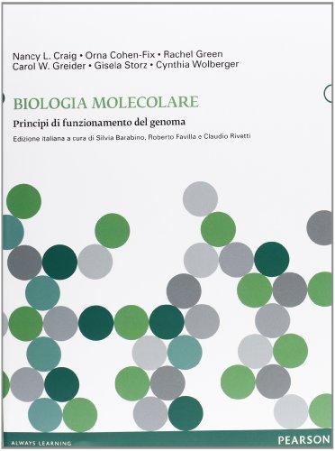 Biologia molecolare. Principi di funzionamento del genoma