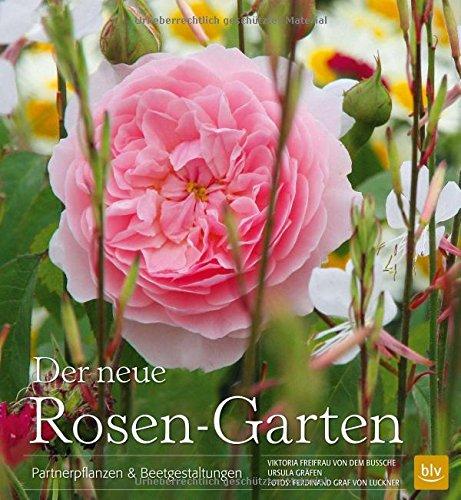 Der neue Rosen-Garten: Partnerpflanzen & Beetgestaltungen