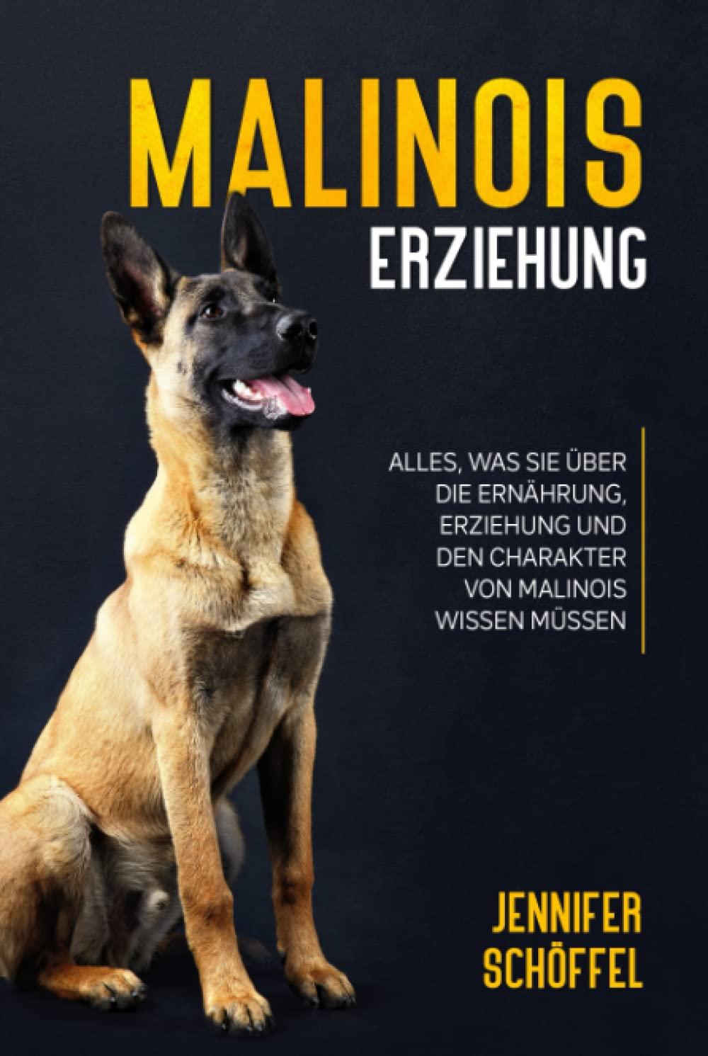 Malinois Erziehung: Alles, was Sie über die Ernährung, Erziehung und den Charakter von Malinois wissen müssen