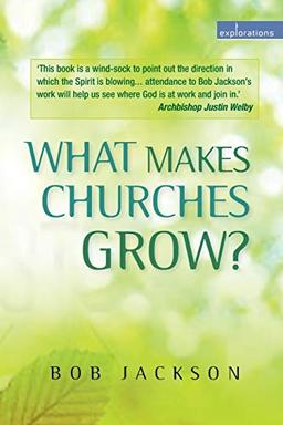 What Makes Churches Grow?: Vision and Practice in Effective Mission (Explorations)